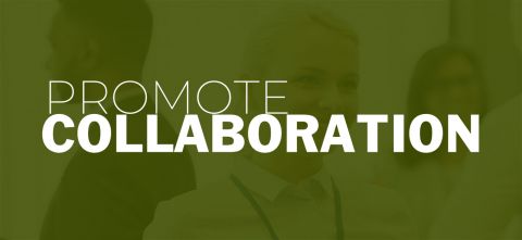 Promote Collaboration